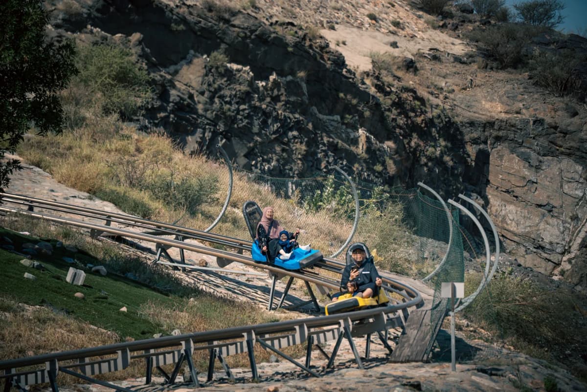 Toboggan